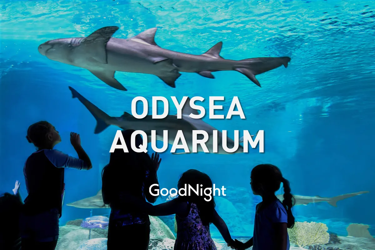 Children and adults alike gaze with wonder at sharks gliding through a giant aquarium tank. The scene captures the thrill, excitement, and family bonding that comes with exploring local attractions like OdySea Aquarium.