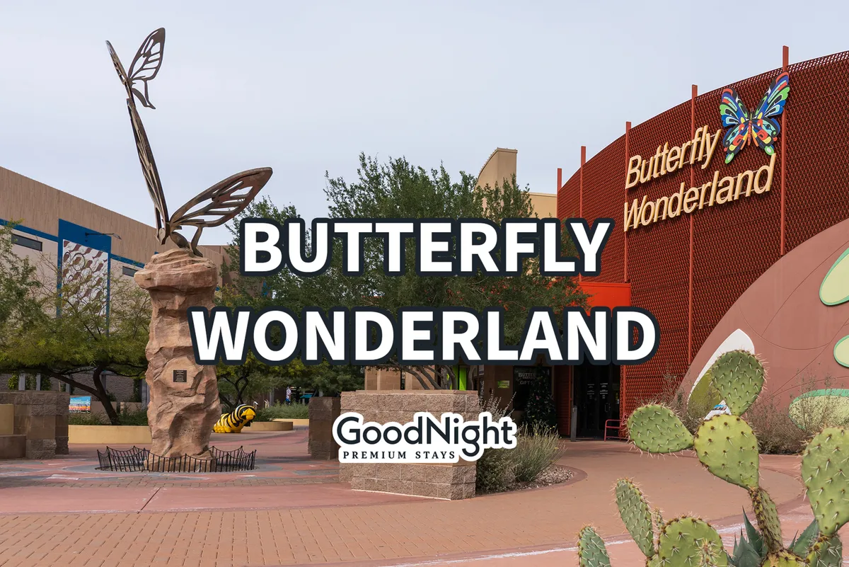 The entrance to Butterfly Wonderland is framed by a whimsical butterfly sculpture and surrounded by cacti, setting a family-friendly and playful tone. The signage is bright and welcoming, instantly associating the scene with fun-filled, educational experiences for all ages.